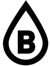 B