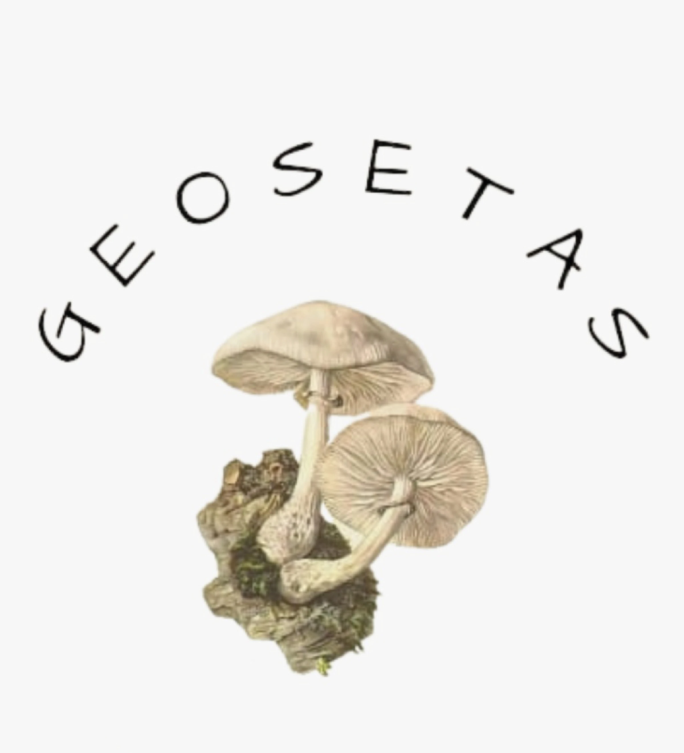 GEOSETAS