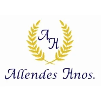 AH ALLENDES HNOS.