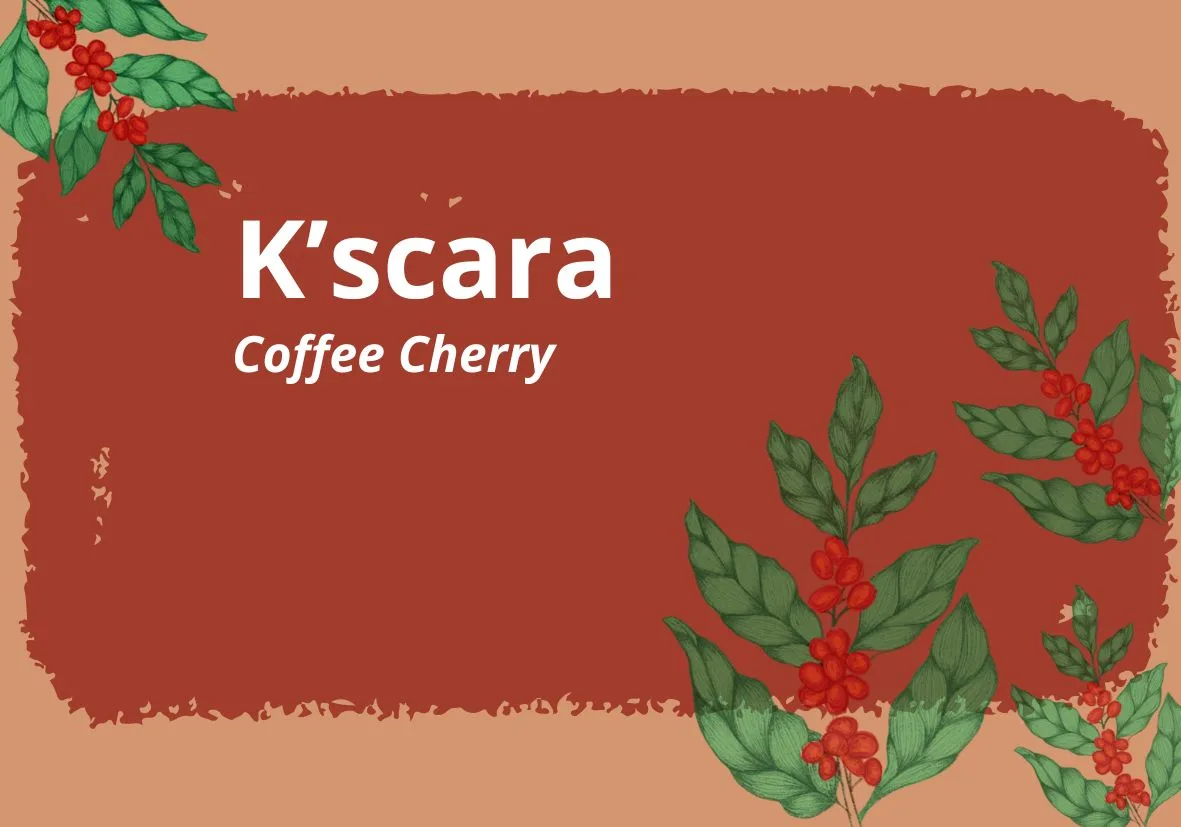 K'SCARA Coffee Cherry