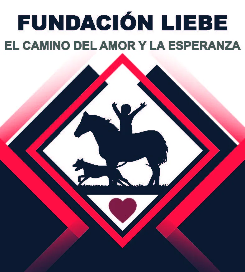 FUNDACION LIEBE