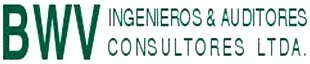 BWV INGENIEROS & AUDITORES CONSULTORES