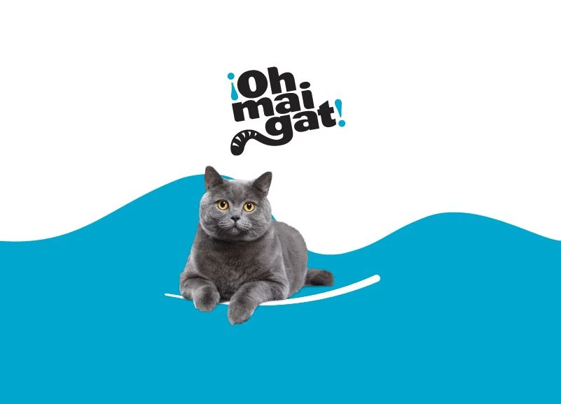 ¡OH MAI GAT!