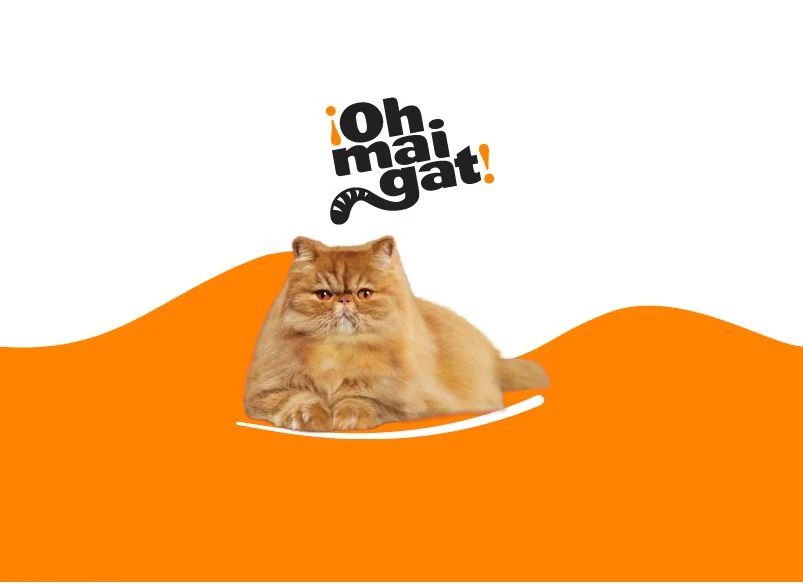 ¡OH MAI GAT!