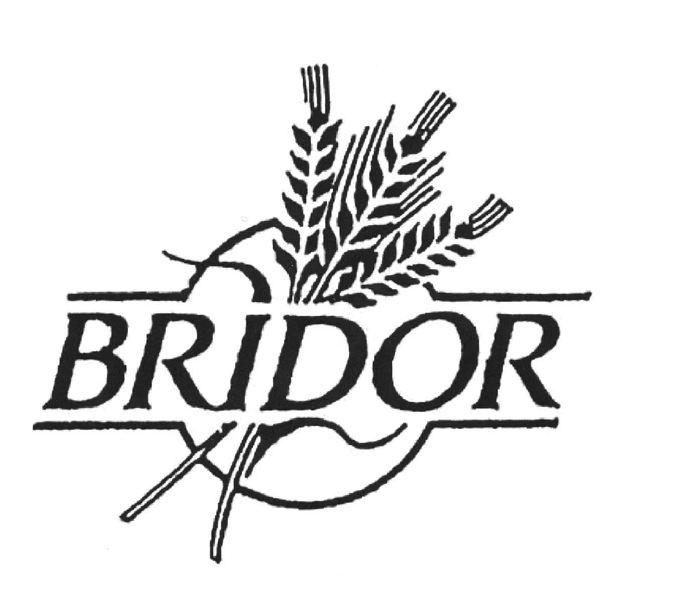 BRIDOR