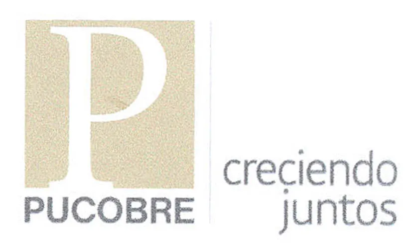 P PUCOBRE CRECIENDO JUNTOS