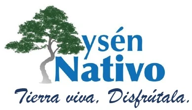 YSEN NATIVO TIERRA VIVA, DISFRUTALA.