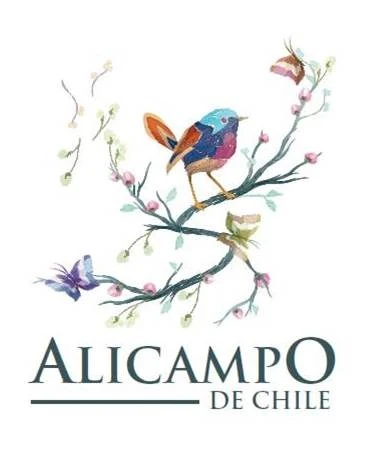 ALICAMPO DE CHILE