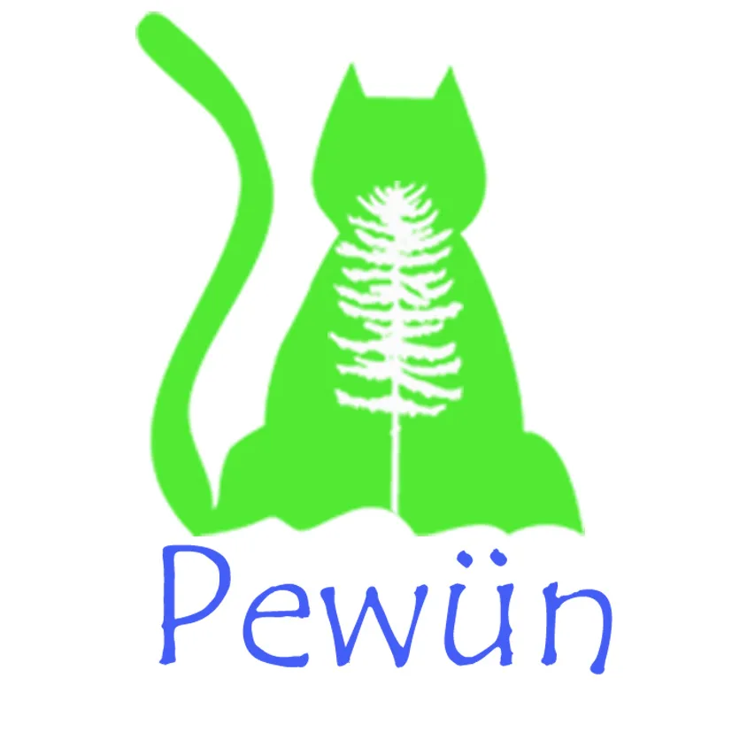 PEWÜN
