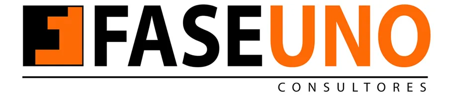 FASEUNO CONSULTORES
