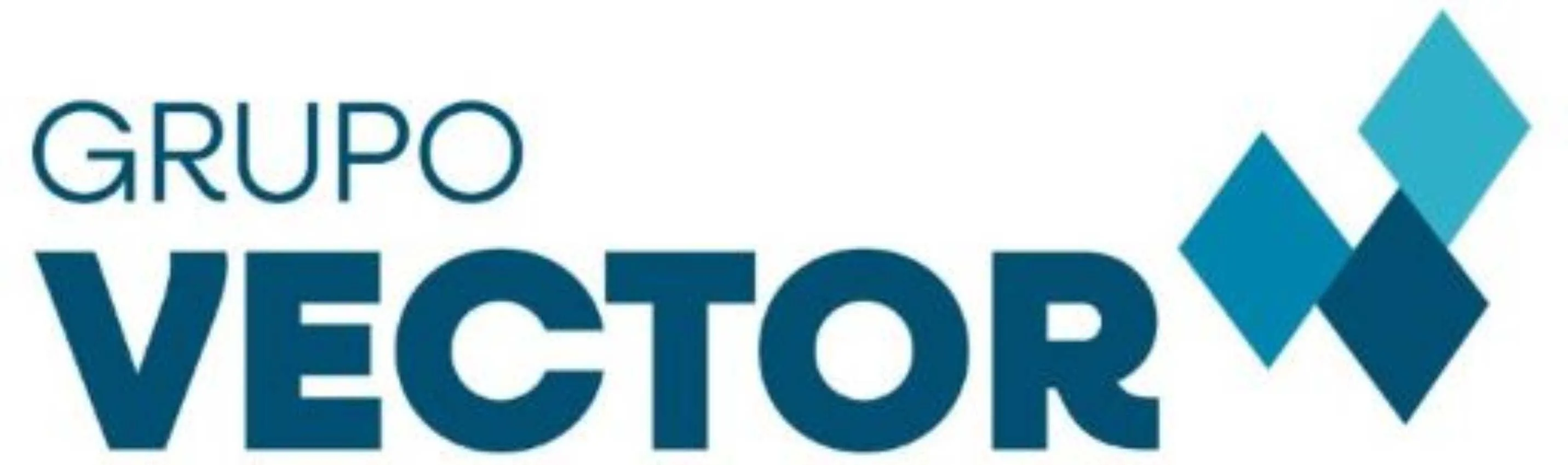 GRUPO VECTOR