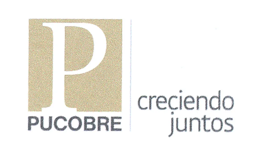 P PUCOBRE CRECIENDO JUNTOS
