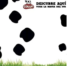 COLUN DESCUBRE AQUI TODA LA MAGIA DEL SUR