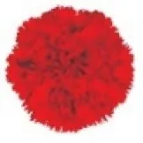 Acta 1397466