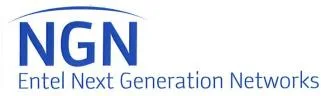 NGN ENTEL NEXT GENERATION NETWORKS