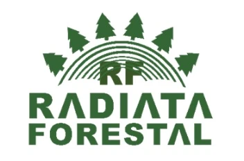 RF RADIATA FORESTAL