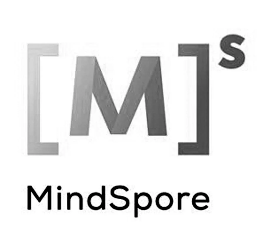 MINDSPORE MS