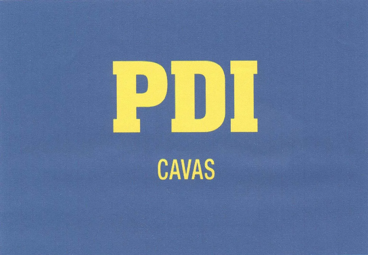 PDI CAVAS