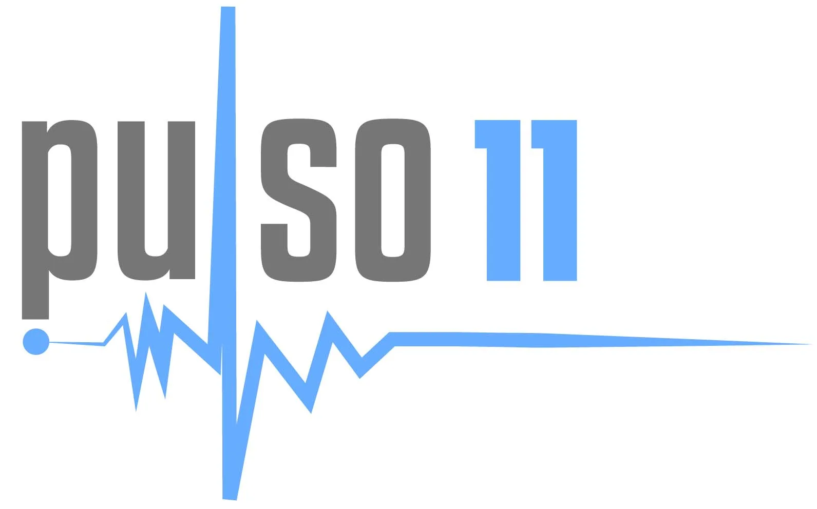 PULSO11