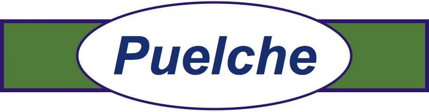 PUELCHE