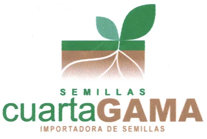 SEMILLAS CUARTA GAMA