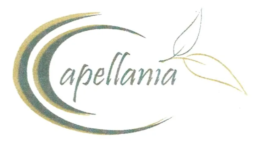 CAPELLANÍA