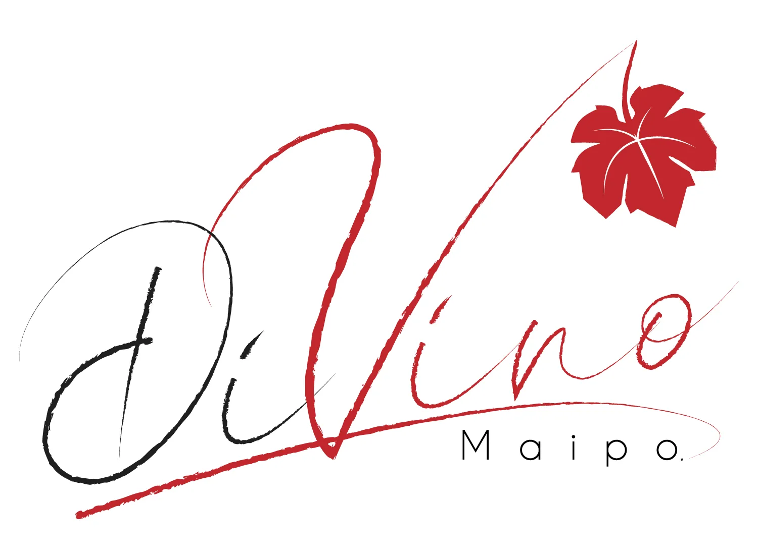 DIVINO MAIPO
