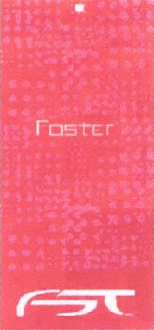 FOSTER FST