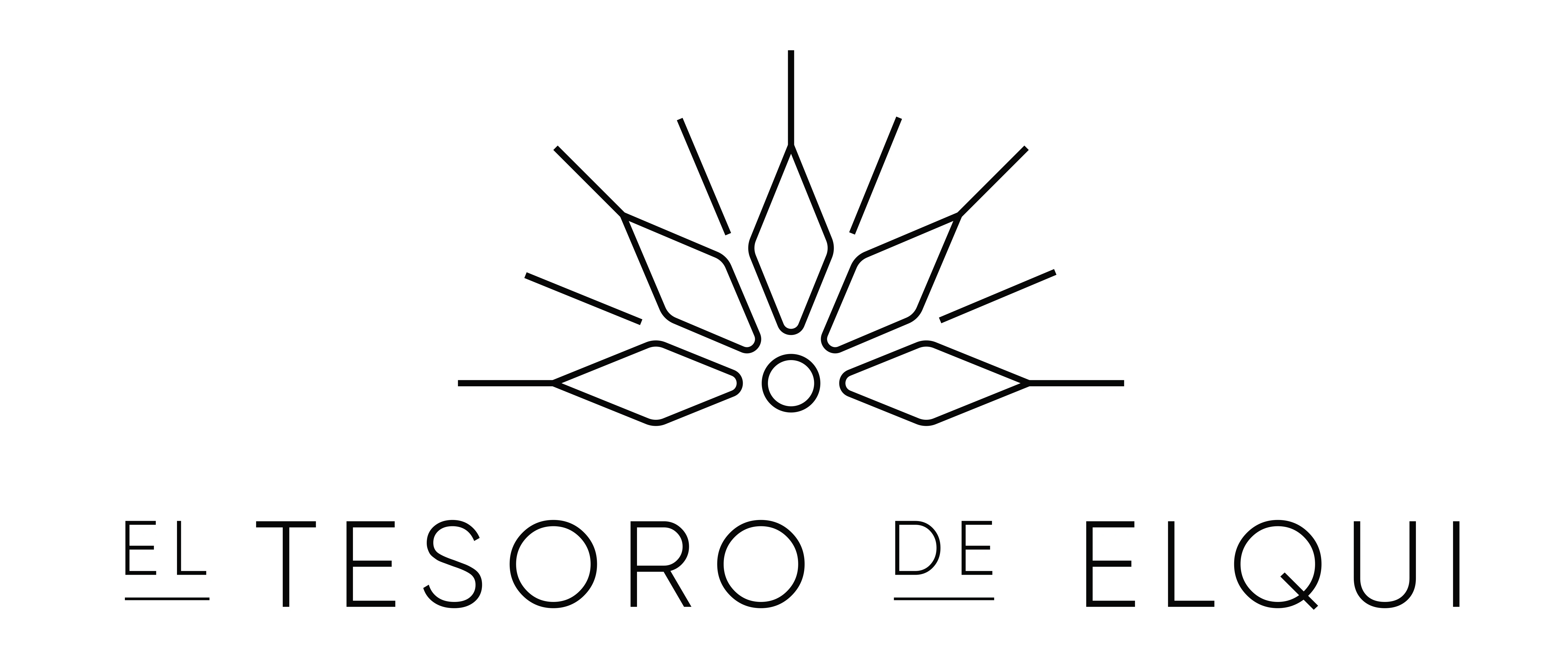 El Tesoro de Elqui