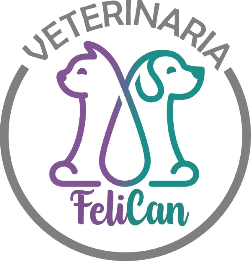 Felican