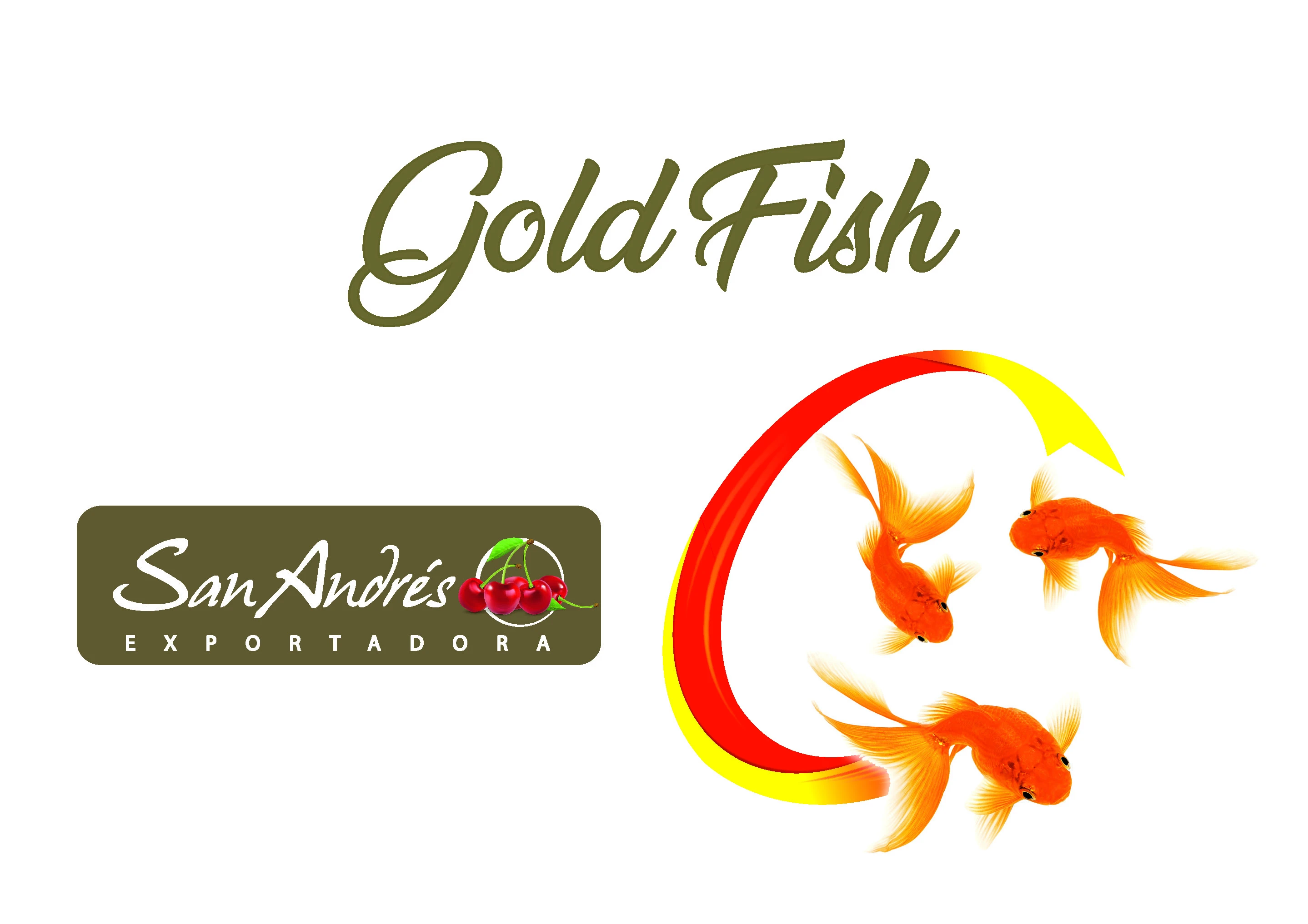 Gold Fish San Andrés Exportadora