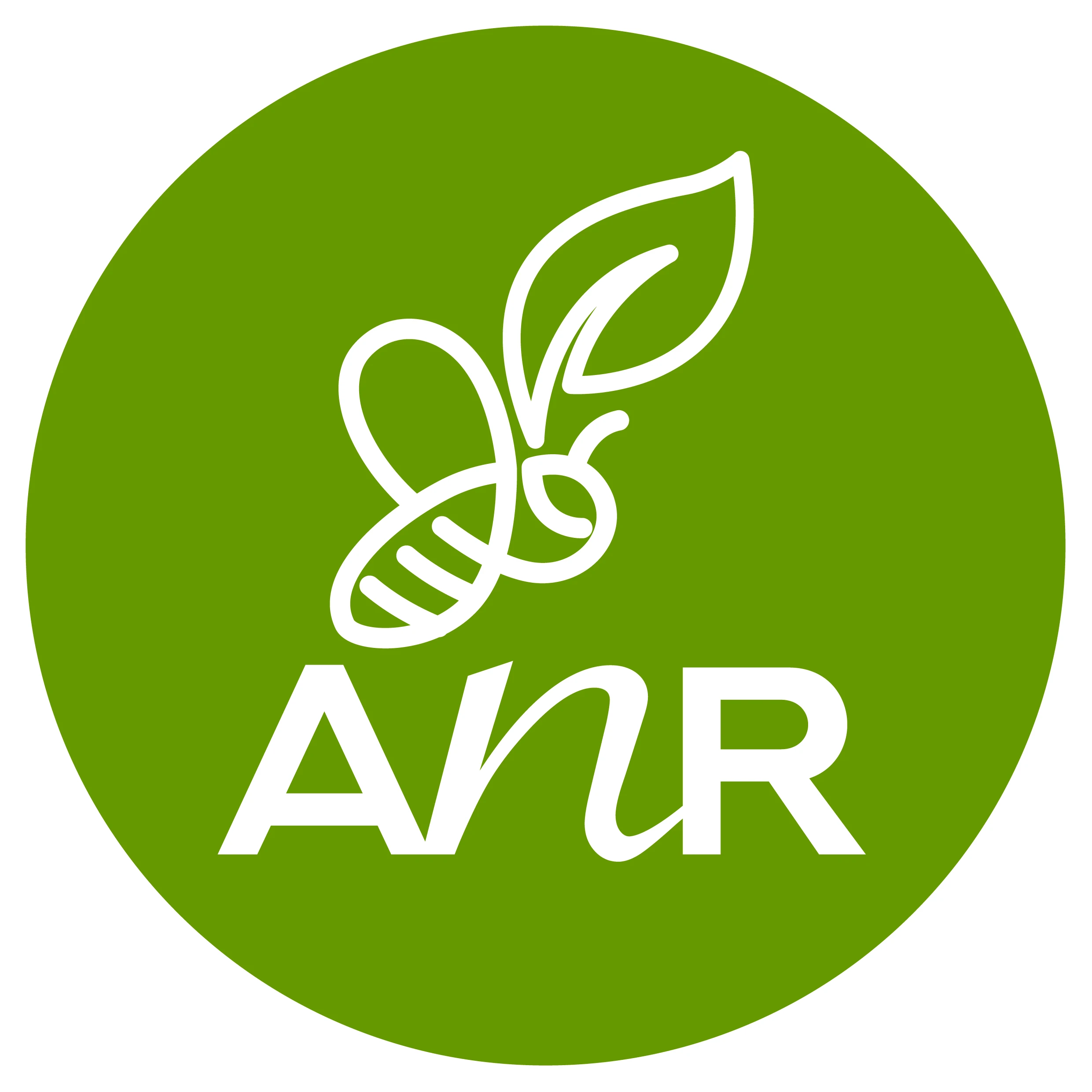 ANR