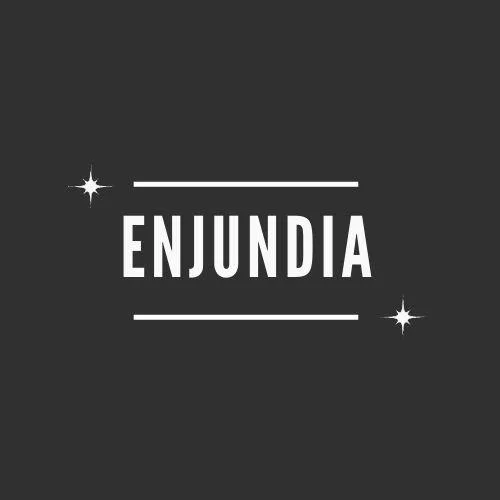 Enjundia