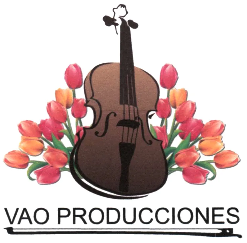 VAO PRODUCCIONES