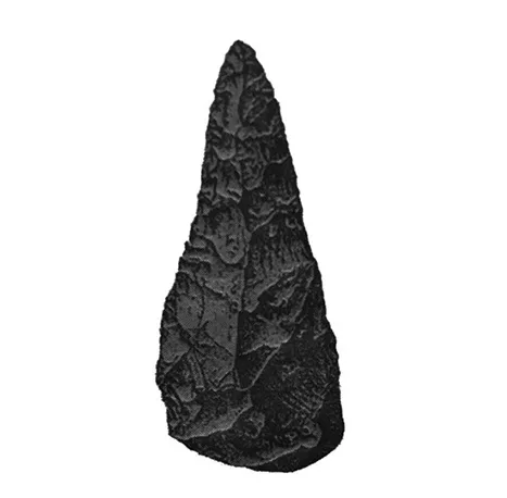 Acta 1402477