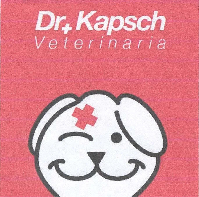 DR KAPSCH