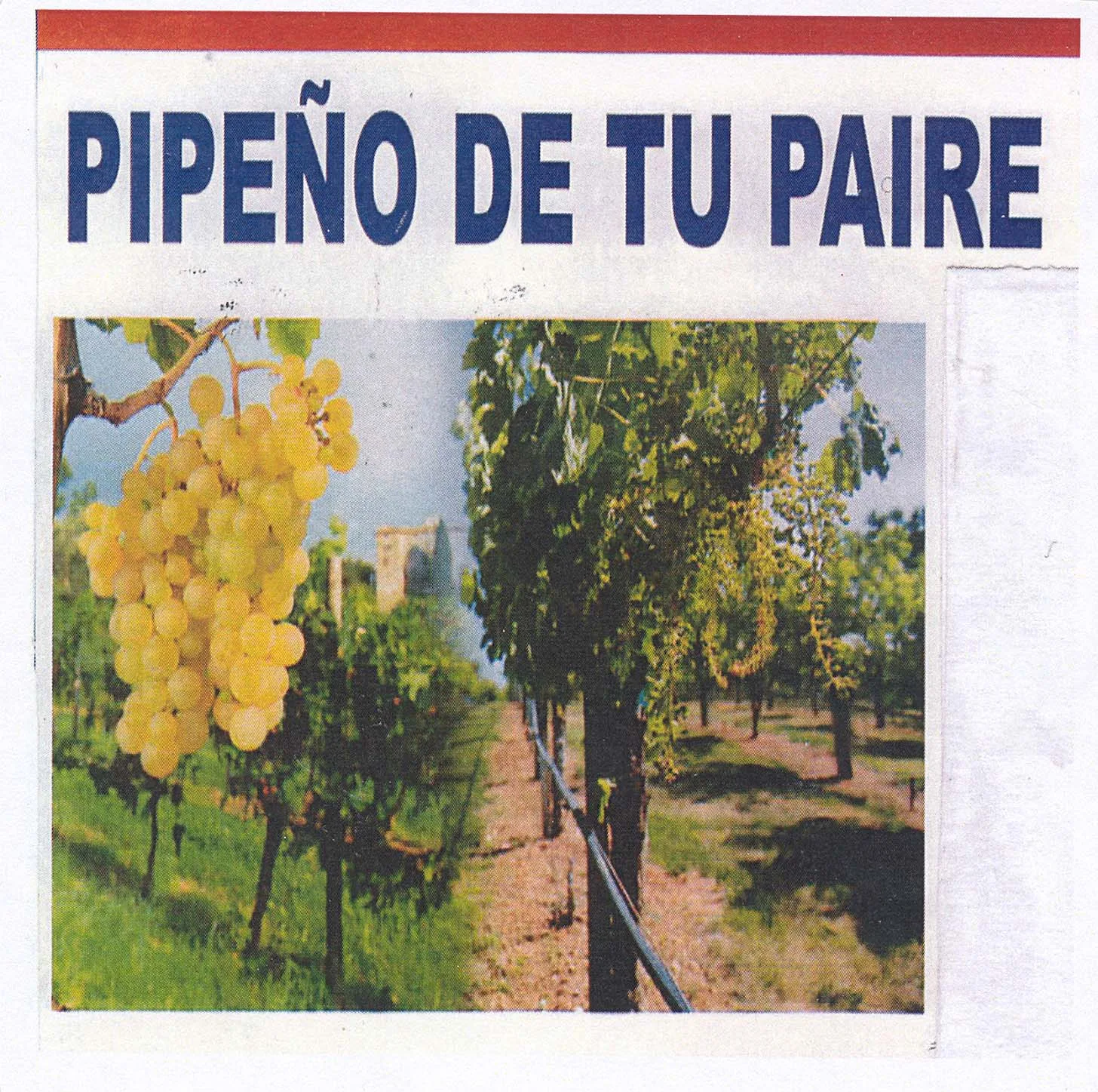 PIPEÑO DE TU PAIRE