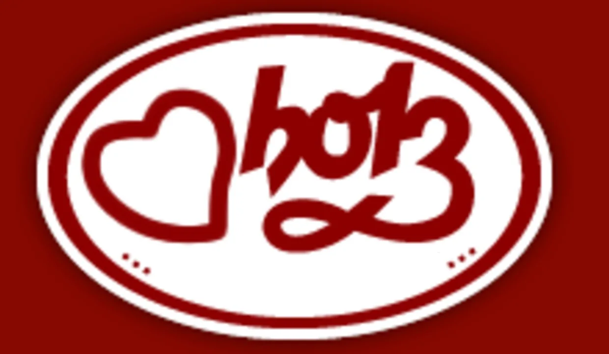 HOLZ