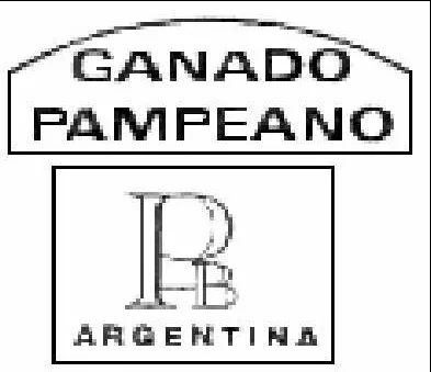 GANADO PAMPEANO - PB