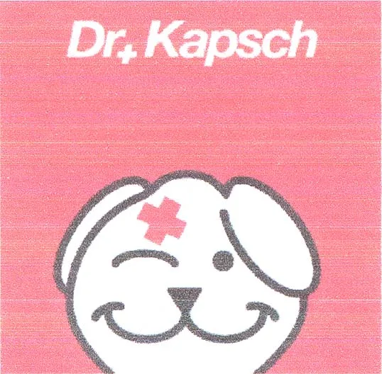 DR KAPSCH