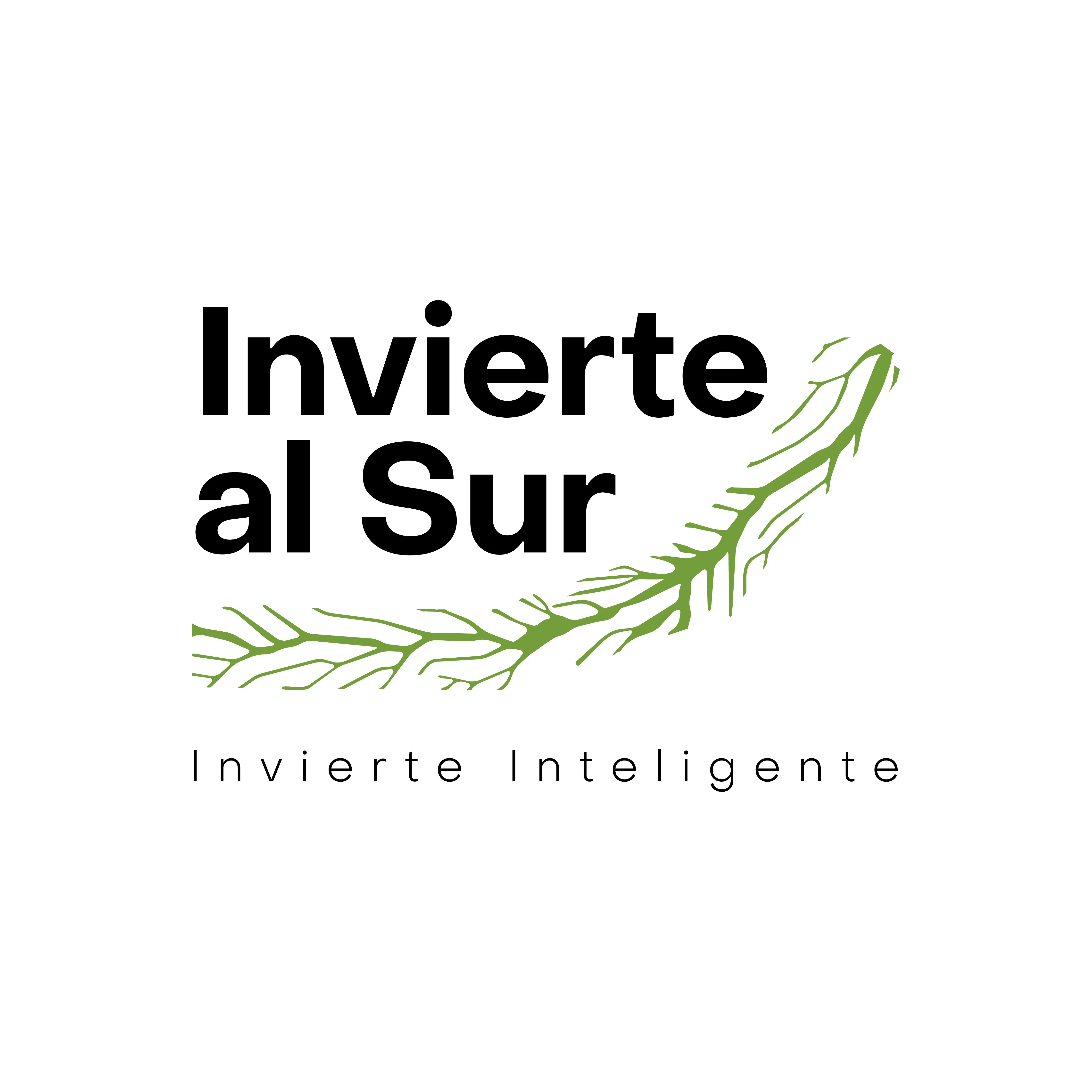 INVIERTE AL SUR