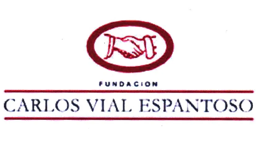 FUNDACIÓN CARLOS VIAL ESPANTOSO