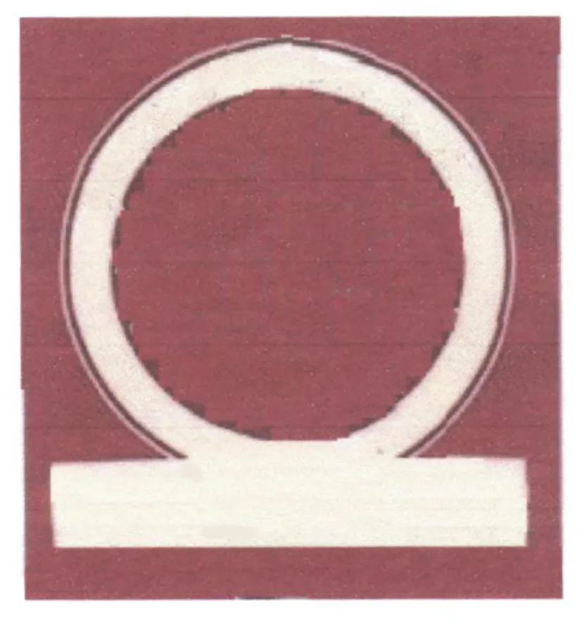 Acta 1305481