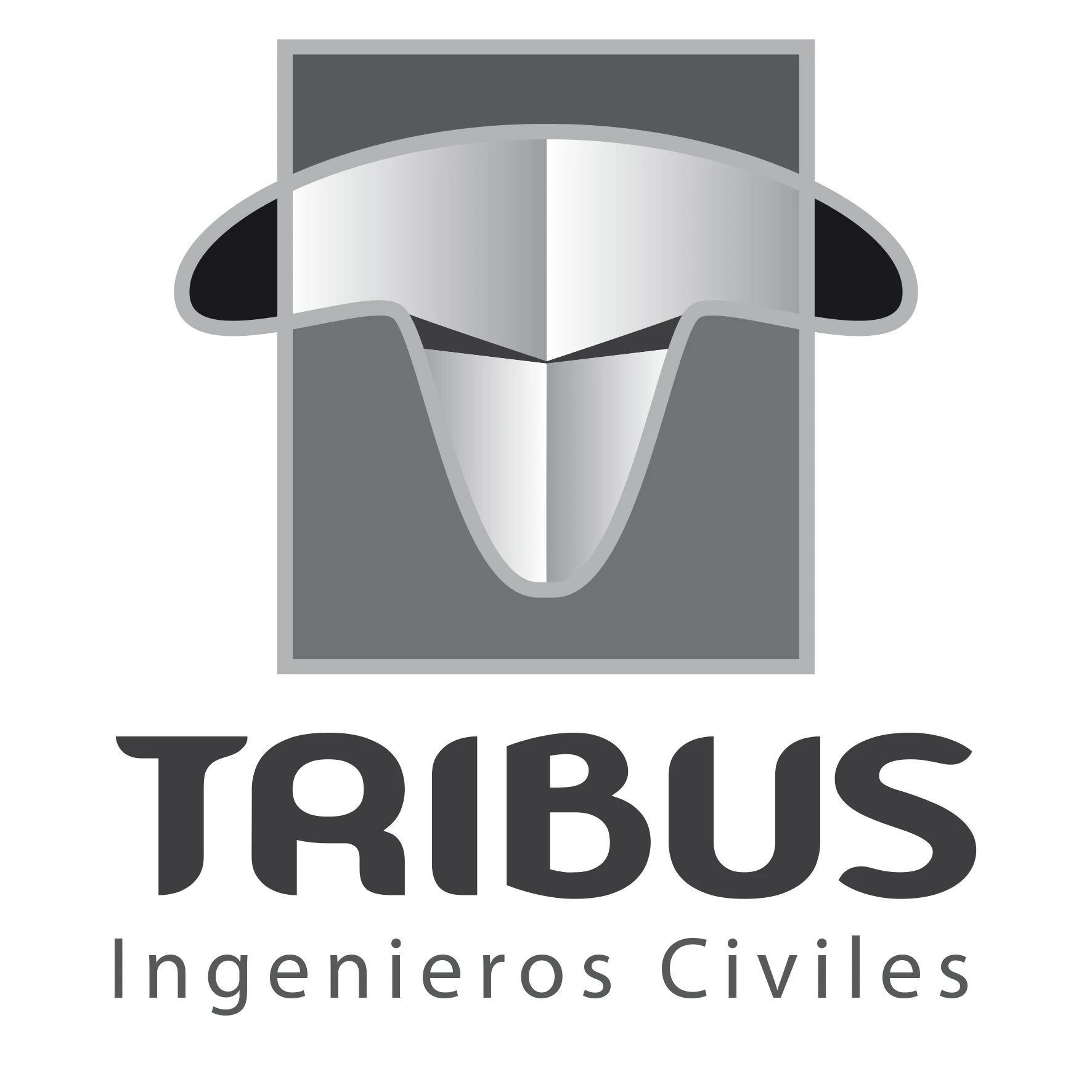 Tribus Ingenieros Civiles
