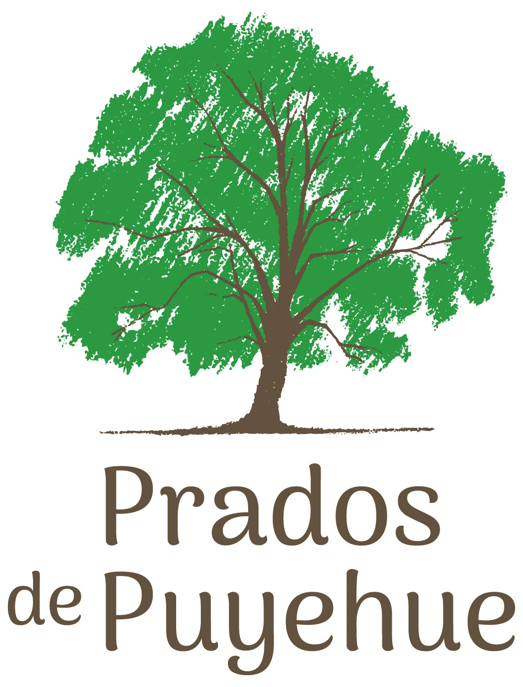 PRADOS DE PUYEHUE