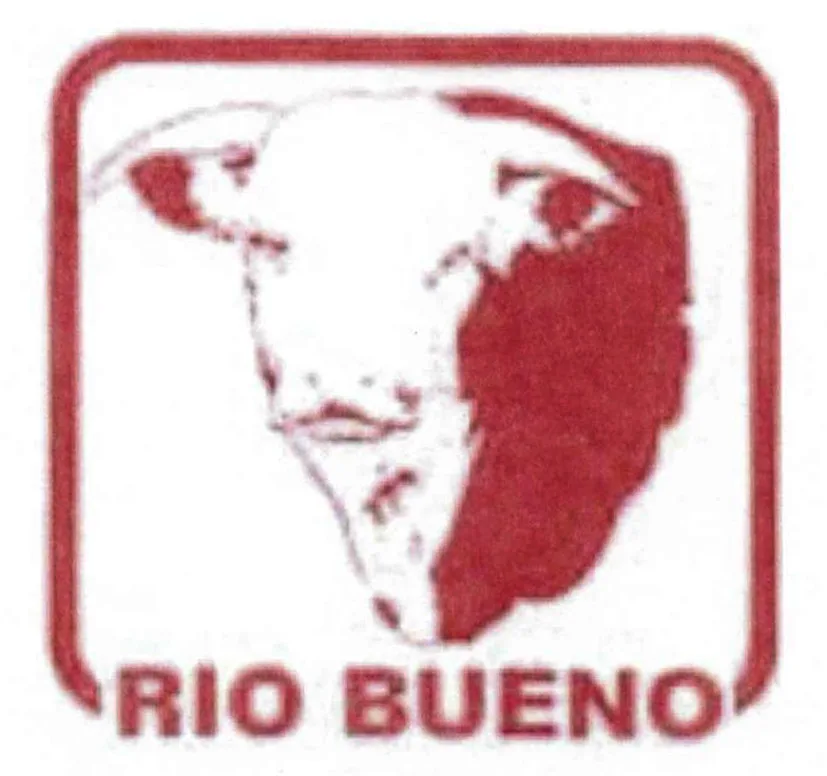 RIO BUENO