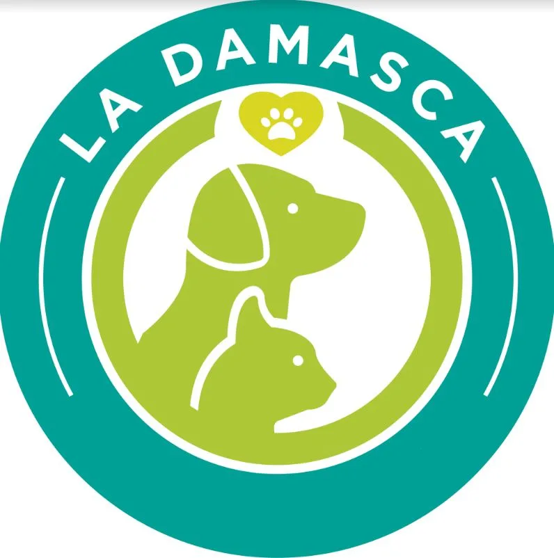 LA DAMASCA