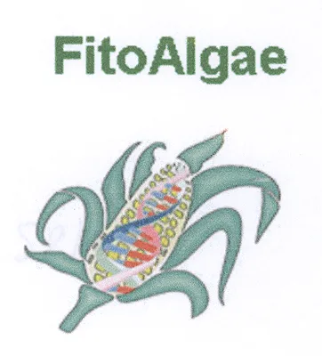 FITOALGAE