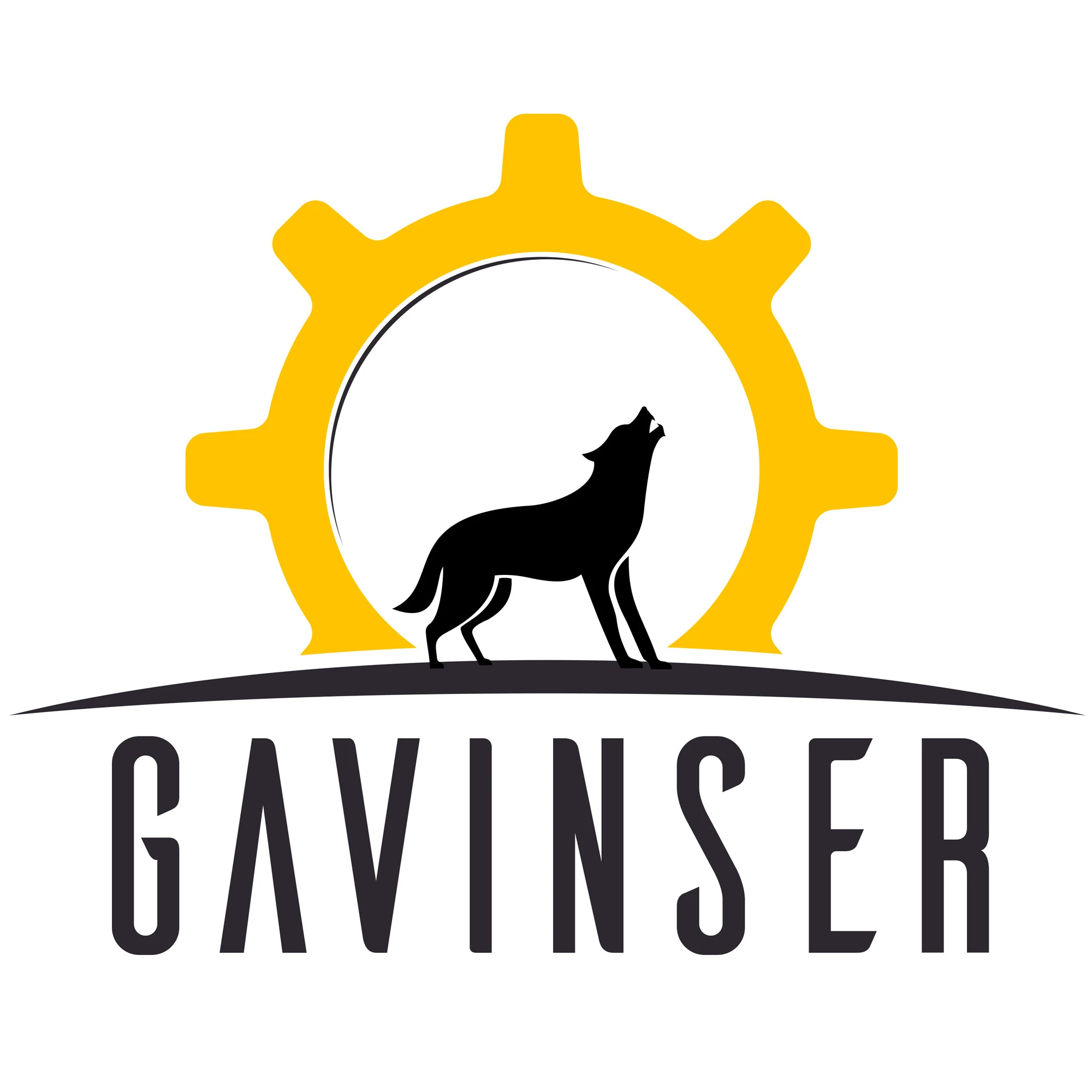 GAVINSER