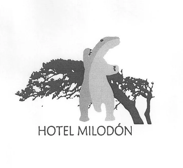 HOTEL MILODON